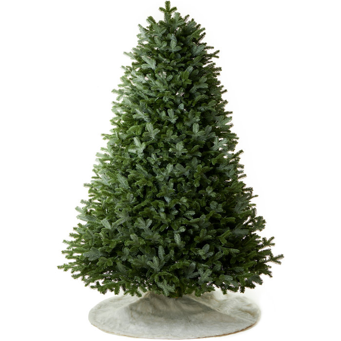 AMERZEST Fraser Fir Artificial Christmas Tree Unlit Wayfair